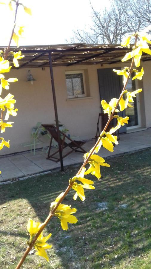 Le Marronnier Appartement Niozelles Buitenkant foto
